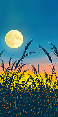 JPG 일러스트 밤하늘 논 갈대 풍경 사람없음 추석 보름달 가을 시골 달빛 국내일러스트 AI일러스트 AI콘텐츠 식물 계절 명절 농업 하늘 달 야간 파일형식