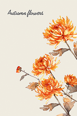 일러스트 국화 사람없음 주황색 가을 국내일러스트 AI파일 계절 꽃 컬러 파일형식 벡터