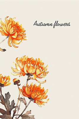 일러스트 국화 사람없음 주황색 가을 국내일러스트 AI파일 계절 꽃 컬러 파일형식 벡터