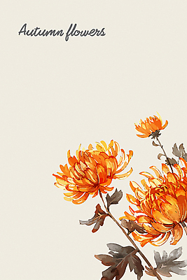 일러스트 국화 사람없음 주황색 가을 국내일러스트 AI파일 계절 꽃 컬러 파일형식 벡터