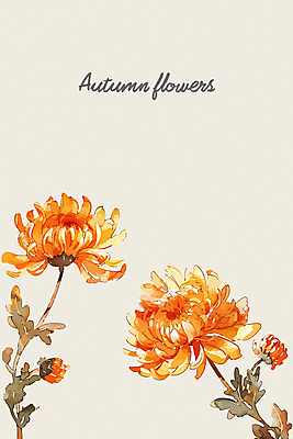 일러스트 국화 사람없음 주황색 가을 국내일러스트 AI파일 계절 꽃 컬러 파일형식 벡터