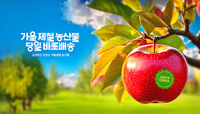 PSD 템플릿 스티커 과일 사람없음 가을 신선 사과 과수원 주문 사과나무 제철 홍옥 직송 당일배송 제철과일 이미지템플릿 나무 계절 농업 배송 파일형식