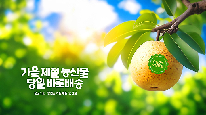 PSD 템플릿 스티커 과일 사람없음 가을 신선 배 과수원 주문 배나무 제철 직송 당일배송 제철과일 이미지템플릿 나무 계절 농업 배송 파일형식