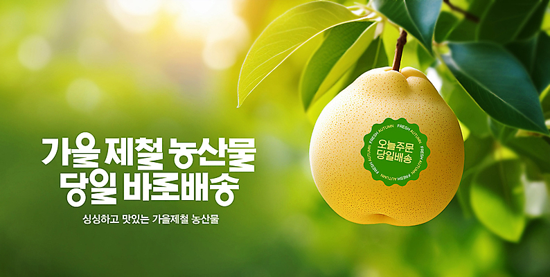 PSD 템플릿 스티커 과일 사람없음 가을 신선 배 과수원 주문 배나무 제철 직송 당일배송 제철과일 이미지템플릿 나무 계절 농업 배송 파일형식