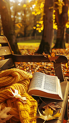 JPG 편집 편집이미지 계절 낙엽 벤치 휴식 사람없음 책 니트 합성 편집소스 편집실사 AI포토 AI콘텐츠 컨셉 상의 잎 의자 CG 파일형식