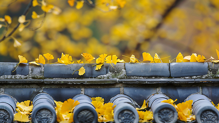 JPG 편집 편집이미지 계절 낙엽 휴식 기와 사람없음 은행잎 합성 편집소스 편집실사 AI포토 AI콘텐츠 컨셉 잎 CG 파일형식