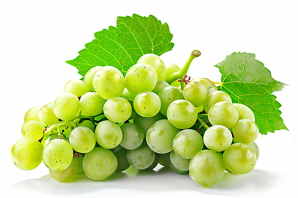 JPG 편집이미지 음식 과일 포도 사람없음 신선 청포도 포도잎 편집소스 망고포도 편집실사 AI포토 AI콘텐츠 잎 CG 파일형식