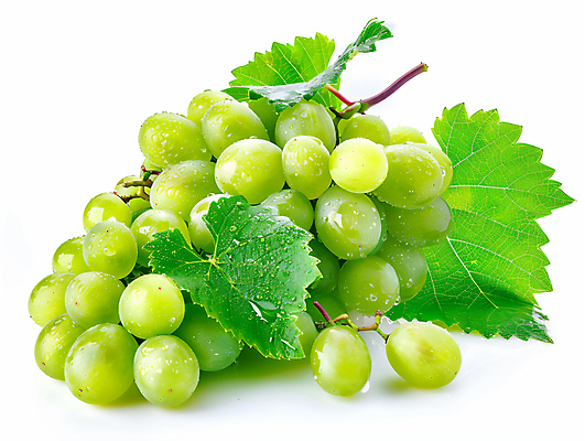 JPG 편집이미지 음식 과일 포도 사람없음 신선 청포도 포도나무 포도잎 편집소스 망고포도 편집실사 AI포토 AI콘텐츠 잎 과일나무 CG 파일형식