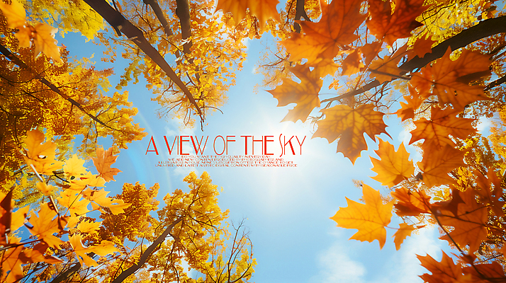 PSD 나무 편집이미지 로우앵글 하늘 단풍나무 풍경 사람없음 가을 이미지편집 편집실사 식물 계절 뷰포인트 단풍 CG 파일형식