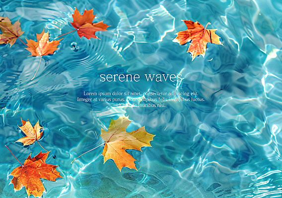 PSD 편집이미지 물결 바다 단풍 낙엽 자연 사람없음 수면 떠있는 디지털합성 이미지편집 편집실사 잎 모션 물 CG 생태계 파일형식