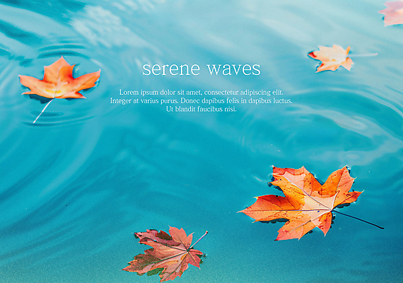 PSD 편집이미지 물결 바다 단풍 낙엽 자연 사람없음 수면 떠있는 디지털합성 이미지편집 편집실사 잎 모션 물 CG 생태계 파일형식