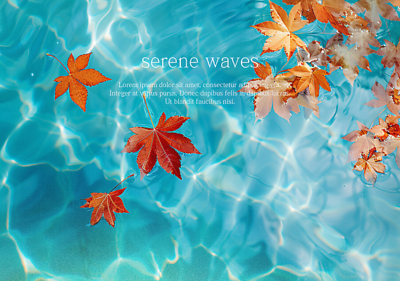 PSD 편집이미지 물결 바다 단풍 낙엽 자연 사람없음 수면 떠있는 디지털합성 이미지편집 편집실사 잎 모션 물 CG 생태계 파일형식