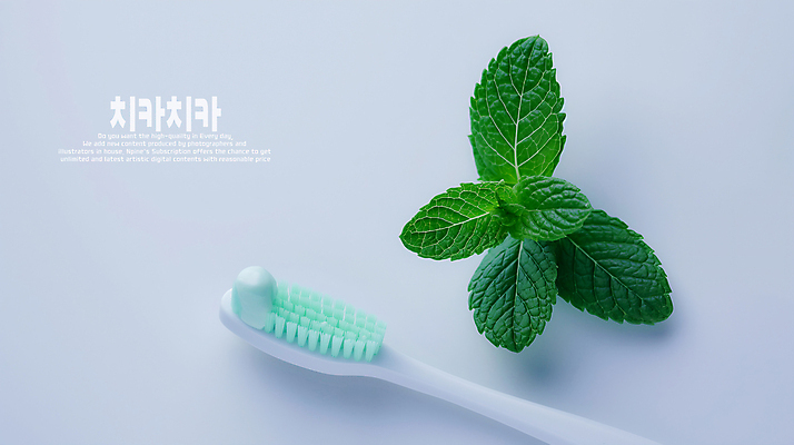 PSD 편집이미지 사람없음 양치 칫솔 민트 치약 치아건강 이미지편집 편집실사 건강 위생용품 청결 허브 CG 파일형식