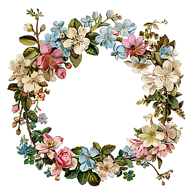 식물 꽃 일러스트 프레임 사람없음 원형프레임 꽃프레임 국내일러스트 AI파일 원형 파일형식 벡터