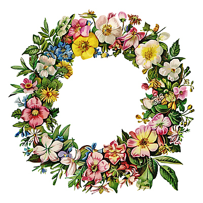 식물 꽃 일러스트 프레임 사람없음 원형프레임 꽃프레임 국내일러스트 AI파일 원형 파일형식 벡터