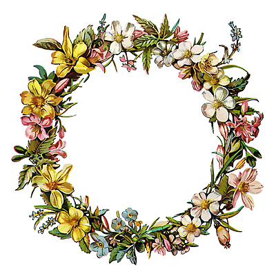 식물 꽃 일러스트 프레임 사람없음 원형프레임 꽃프레임 국내일러스트 AI파일 원형 파일형식 벡터