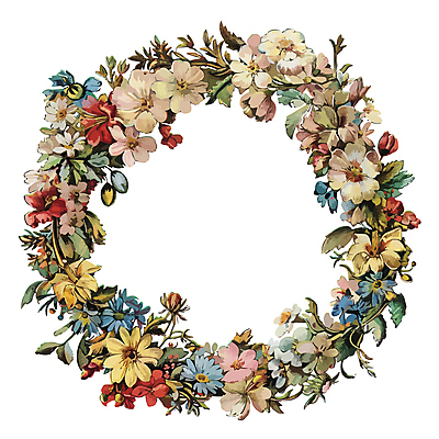 식물 꽃 일러스트 프레임 사람없음 원형프레임 꽃프레임 국내일러스트 AI파일 원형 파일형식 벡터