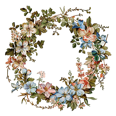 식물 꽃 일러스트 프레임 사람없음 원형프레임 꽃프레임 국내일러스트 AI파일 원형 파일형식 벡터