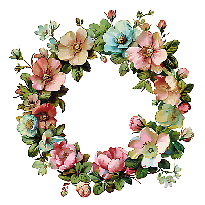 식물 꽃 일러스트 프레임 사람없음 원형프레임 꽃프레임 국내일러스트 AI파일 원형 파일형식 벡터