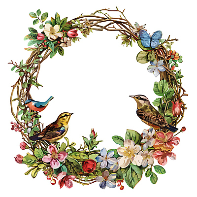 식물 꽃 일러스트 조류 프레임 사람없음 원형프레임 꽃프레임 국내일러스트 AI파일 동물 원형 파일형식 벡터