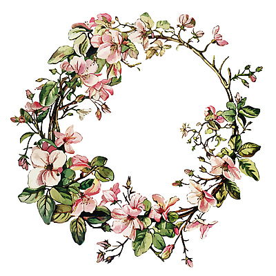 식물 꽃 일러스트 프레임 사람없음 원형프레임 꽃프레임 국내일러스트 AI파일 원형 파일형식 벡터