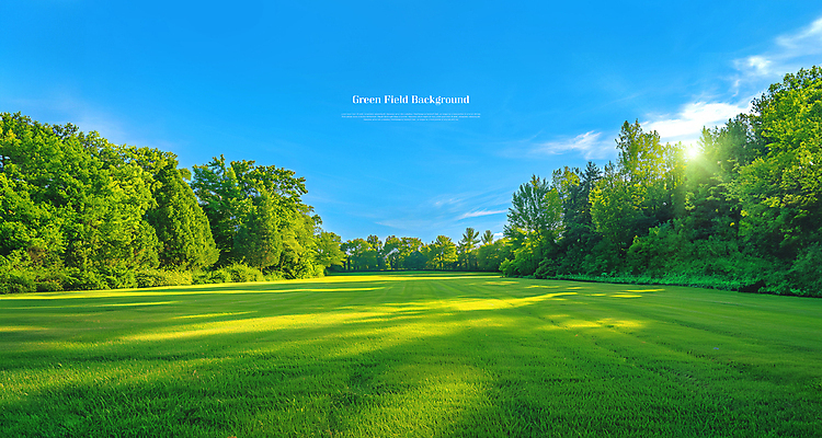 PSD 구름 템플릿 배너 잔디 초원 사람없음 초록색 햇빛 숲 청명 이미지템플릿 자연요소 식물 컬러 태양 파일형식