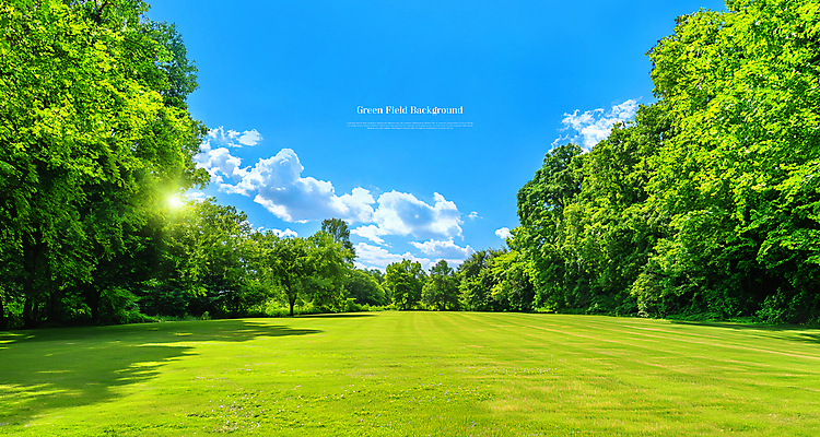 PSD 구름 템플릿 배너 잔디 초원 사람없음 초록색 햇빛 숲 청명 이미지템플릿 자연요소 식물 컬러 태양 파일형식