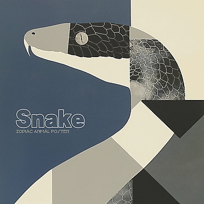 PSD 동물 한마리 디자인 포스터 얼굴 상징 일러스트 사람없음 파란색 회색 십이지신 뱀띠 뱀 콜라주 국내일러스트 1 컬러 파충류 신체부위 파일형식