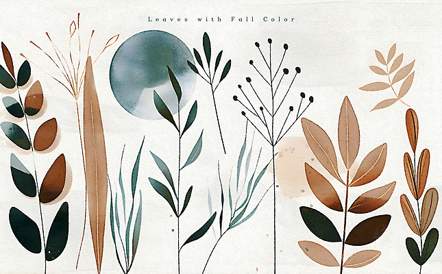 PSD 일러스트 자연 추상 나뭇잎 수채화 사람없음 가을 풀잎 분위기 베이지색 국내일러스트 계절 컬러 컨셉 잎 무늬 풀_식물 생태계 파일형식