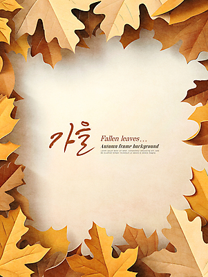 PSD 편집이미지 낙엽 자연 프레임 사람없음 장식 갈색 가을 카피스페이스 이미지편집 계절 컬러 잎 공백 생태계 파일형식