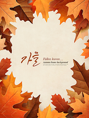 PSD 편집이미지 낙엽 자연 프레임 사람없음 장식 주황색 가을 카피스페이스 이미지편집 계절 컬러 잎 공백 생태계 파일형식