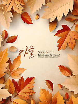 PSD 편집이미지 낙엽 자연 프레임 사람없음 장식 갈색 가을 카피스페이스 이미지편집 계절 컬러 잎 공백 생태계 파일형식