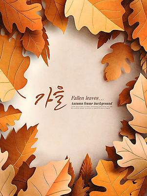PSD 편집이미지 낙엽 자연 프레임 사람없음 장식 갈색 가을 카피스페이스 이미지편집 계절 컬러 잎 공백 생태계 파일형식