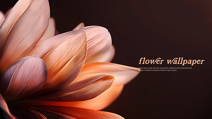 PSD 편집이미지 꽃잎 꽃백그라운드 사람없음 그래픽 갈색 가을 빈티지 질감 복고 카피스페이스 이미지편집 계절 꽃 컬러 백그라운드 컨셉 공백 파일형식