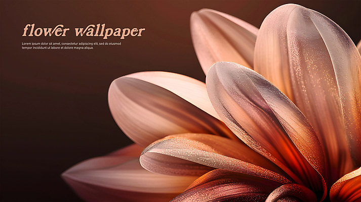 PSD 편집이미지 꽃잎 꽃백그라운드 사람없음 그래픽 갈색 가을 빈티지 질감 복고 카피스페이스 이미지편집 계절 꽃 컬러 백그라운드 컨셉 공백 파일형식