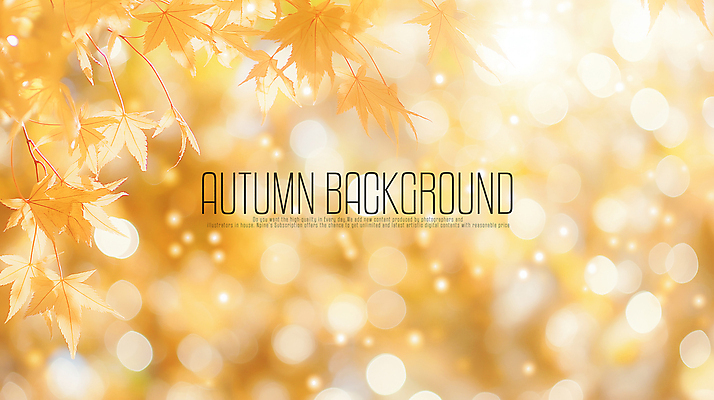 PSD 편집이미지 단풍 낙엽 풍경 사람없음 노란색 보케 감성 가을배경 이미지편집 편집실사 컬러 백그라운드 컨셉 잎 CG 파일형식 가을_계절