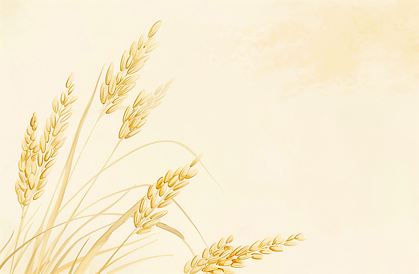 JPG 일러스트 사람없음 농작물 수확 추수 벼 가을 베이지색 카피스페이스 국내일러스트 AI일러스트 AI콘텐츠 계절 컬러 농업 곡류 공백 파일형식