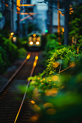 JPG 나무 편집이미지 여행 주택 사람없음 빛 장난감 모형 노을 기찻길 미니어처 기차 도시 저녁 기차모형 편집실사 AI포토 AI콘텐츠 자연요소 식물 육상교통 대중교통 건물 야간 CG 파일형식