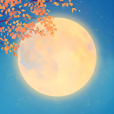 PSD 단풍 일러스트 자연 밤하늘 단풍나무 풍경 사람없음 추석 보름달 가을 달빛 국내일러스트 나무 계절 명절 잎 하늘 달 야간 생태계 파일형식