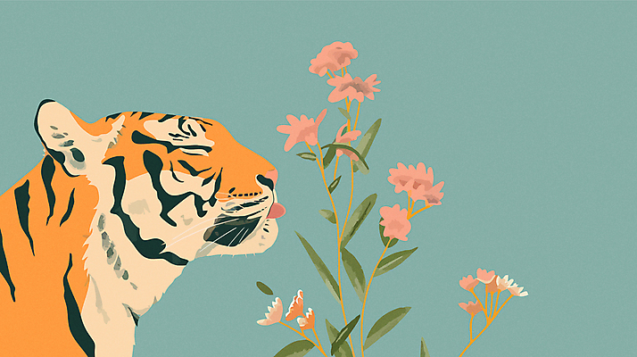 한마리 꽃 야생동물 일러스트 사람없음 파란색 주황색 호랑이 향기 심플 멸종위기동물 국내일러스트 멸종위기종 AI파일 식물 동물 1 컬러 포유류 냄새 파일형식 벡터