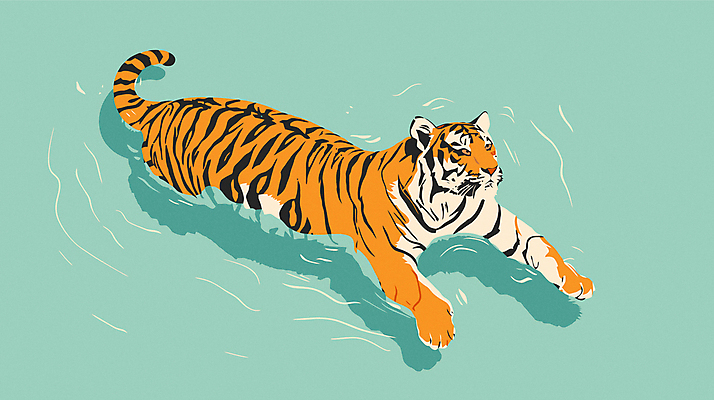 한마리 야생동물 일러스트 그림자 사람없음 물 주황색 수영 호랑이 심플 멸종위기동물 민트색 국내일러스트 멸종위기종 AI파일 자연요소 동물 1 컬러 포유류 수상스포츠 파일형식 벡터