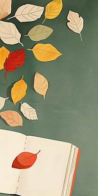 JPG 낙엽 일러스트 나뭇잎 사람없음 책 독서 가을 카피스페이스 국내일러스트 AI일러스트 AI콘텐츠 계절 잎 공백 파일형식