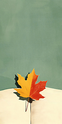 JPG 단풍 일러스트 사람없음 책 초록색 독서 가을 카피스페이스 국내일러스트 AI일러스트 AI콘텐츠 계절 컬러 잎 공백 파일형식