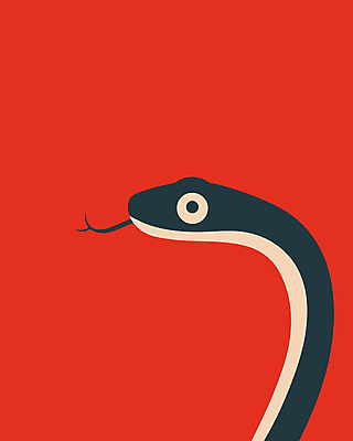 캐릭터 포스터 일러스트 사람없음 그래픽 빨간색 파란색 귀여움 뱀 그림 심플 단순화된 일러캐릭터 푸른뱀캐릭터 AI파일 컬러 컨셉 파충류 뱀캐릭터 파일형식 벡터