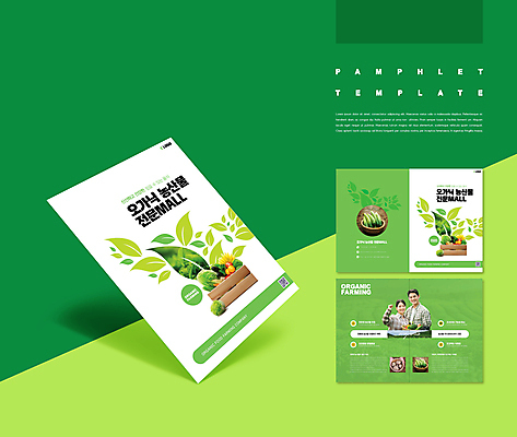 템플릿 손 여자 남자 ZIP 잎 밭 오이 감자 바나나 들기 사람 팜플렛 상반신 20대 성인 신체부위 세명 초록색 농작물 상자 바구니 한국인 상추 브로콜리 나무상자 친환경 유기농 양배추 성인만 인디자인 INDD 청년농부 IDML 이미지템플릿 식물 웰빙 컬러 농업 채소 과일 모션 동양인 청년 환경 농부 파일형식