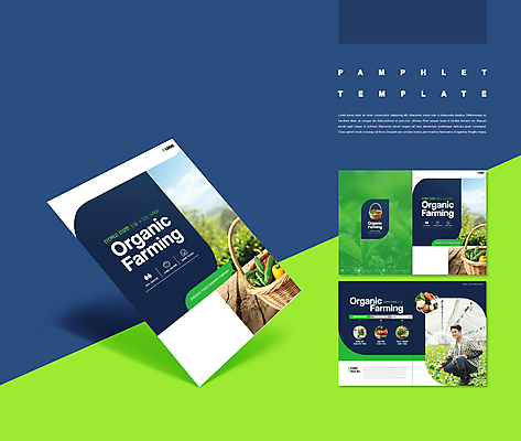 전신 템플릿 손 남자 ZIP 중년 밭 토마토 오이 파프리카 사람 팜플렛 20대 성인 두명 신체부위 초록색 농작물 바구니 버섯 당근 한국인 남색 친환경 유기농 비닐하우스 웅크림 남자만 인디자인 INDD 청년농부 IDML 이미지템플릿 웰빙 컬러 농업 채소 모션 뿌리채소 동양인 청년 환경 농부 파일형식