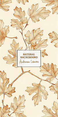 PSD 낙엽 패턴 일러스트 나뭇잎 사람없음 갈색 가을 드로잉 국내일러스트 계절 컬러 잎 무늬 미술 파일형식