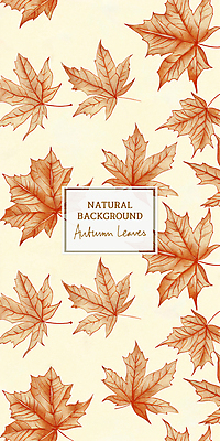 PSD 단풍 낙엽 패턴 일러스트 나뭇잎 사람없음 주황색 가을 드로잉 국내일러스트 계절 컬러 잎 무늬 미술 파일형식