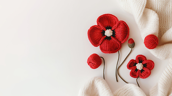 JPG 편집이미지 사람없음 장식 빨간색 뜨개질 털실 디지털합성 니트 양귀비 수공예 핸드메이드 카피스페이스 편집소스 편집실사 AI포토 AI콘텐츠 꽃 컬러 상의 취미 공백 실 공예 CG 파일형식