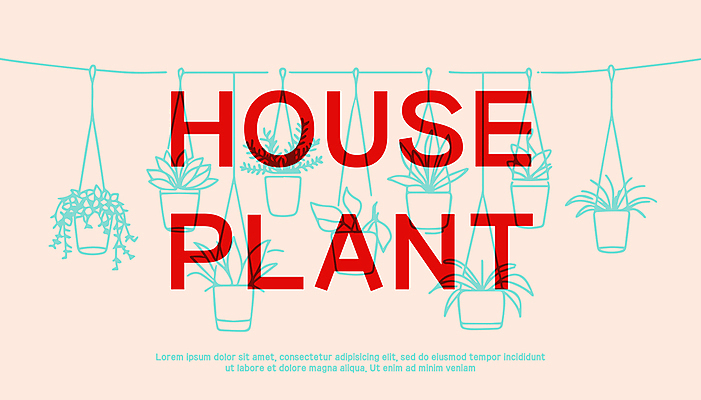 식물 화분 일러스트 텍스트 사람없음 라인아트 심플 단순화된 행잉플랜트 국내일러스트 AI파일 선 파일형식 벡터